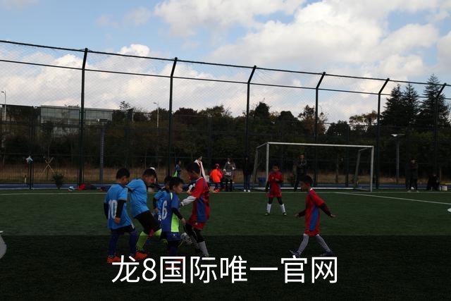 关于龙8国际唯一官网